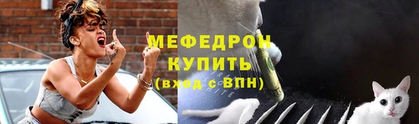 ПСИЛОЦИБИНОВЫЕ ГРИБЫ Осинники