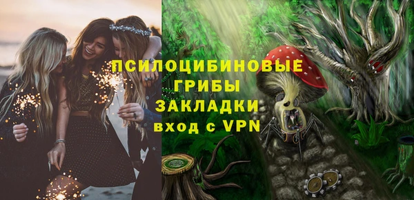 винт Осташков
