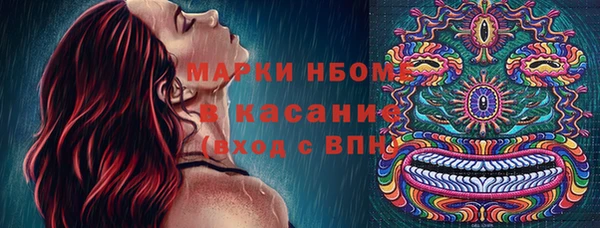 ПСИЛОЦИБИНОВЫЕ ГРИБЫ Осинники