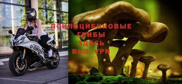 ПСИЛОЦИБИНОВЫЕ ГРИБЫ Осинники
