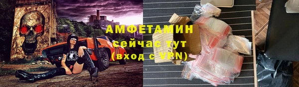 ПСИЛОЦИБИНОВЫЕ ГРИБЫ Осинники
