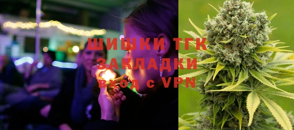 винт Осташков