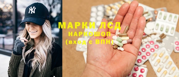ПСИЛОЦИБИНОВЫЕ ГРИБЫ Осинники