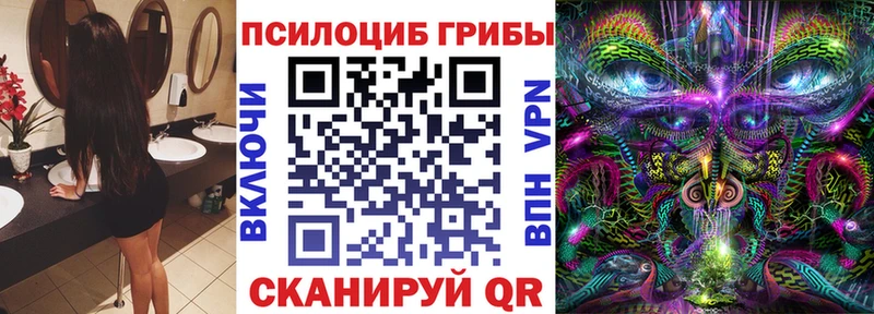 Псилоцибиновые грибы Psilocybe  мориарти клад  Остров 